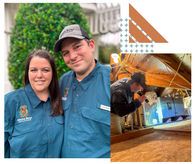 Mama Bear pest and outdoor wildlife removal and pest control in Katy, TX