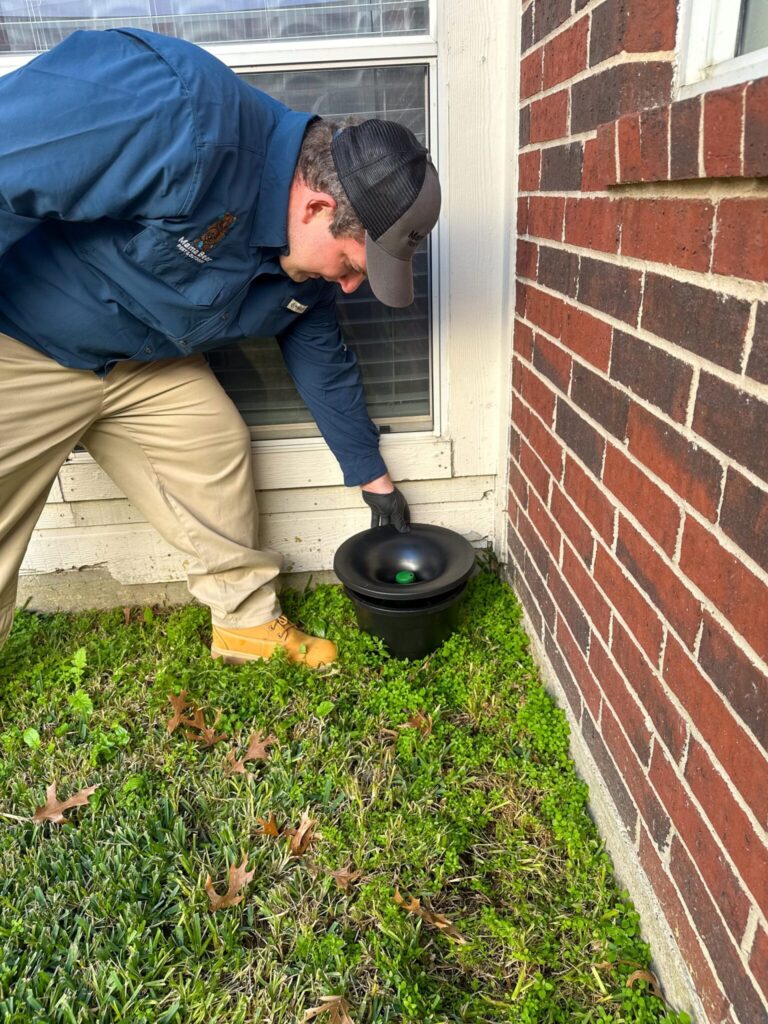 Pest Control Katy TX Mama Bear Pest and outdoor