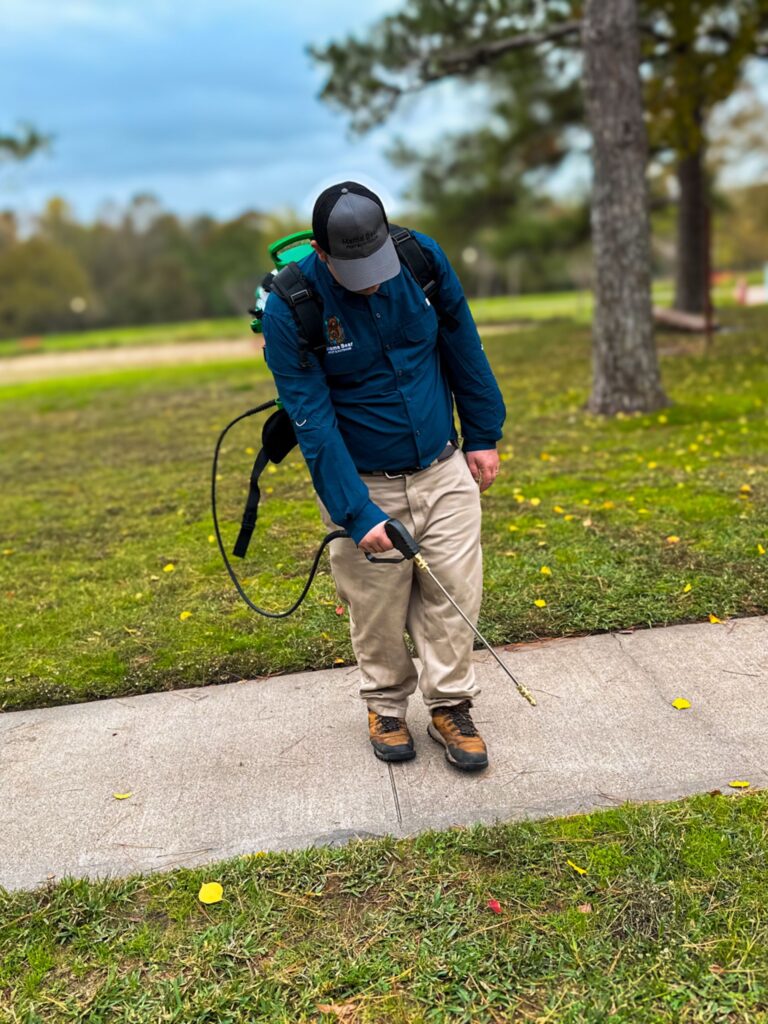 Pest Control in Katy TX Free Inspections Mama Bear Pest and Outdoor