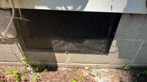 rodent exclusion in katy texas mama bear pest and outdoor