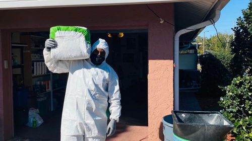 Attic Insulation Katy TX- mama Bear Pest and Outdoor