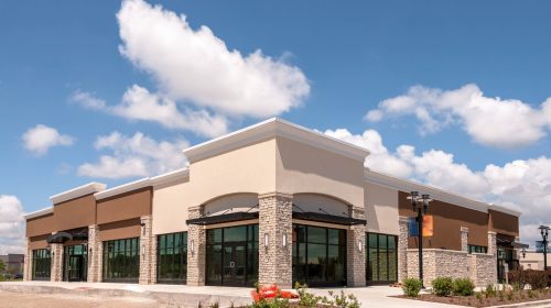 commercial pest control Katy TX Mama Bear pest and outdoor
